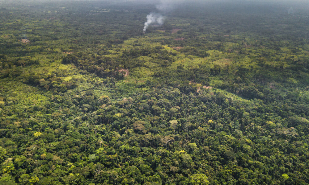 Bientôt un cadre de concertation entre le ministère de l’Environnement et les acteurs non étatiques du secteur