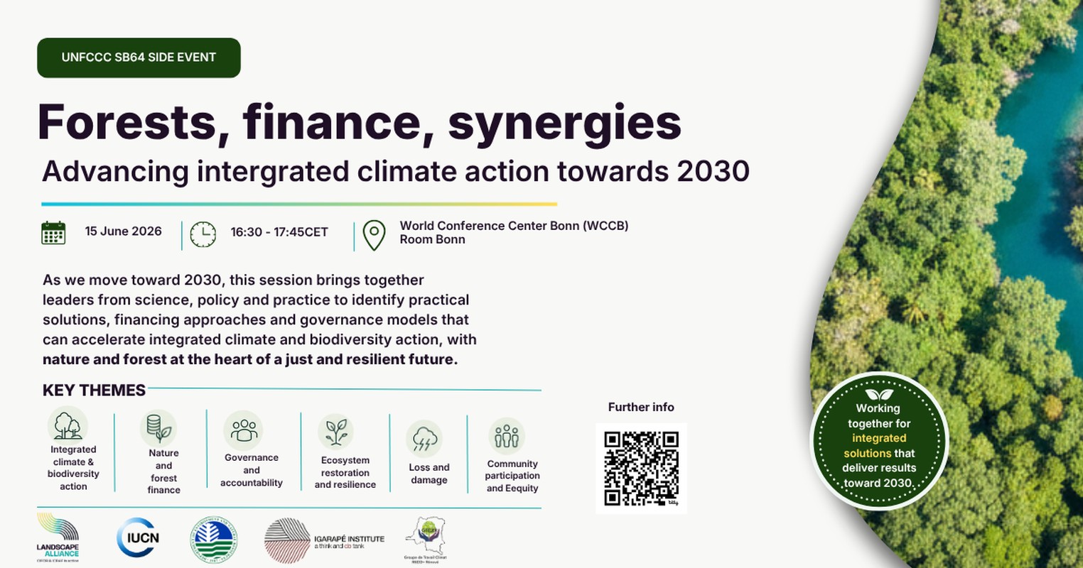 Forêts, finance, synergies : faire progresser l&rsquo;action climatique intégrée à l&rsquo;horizon 2030