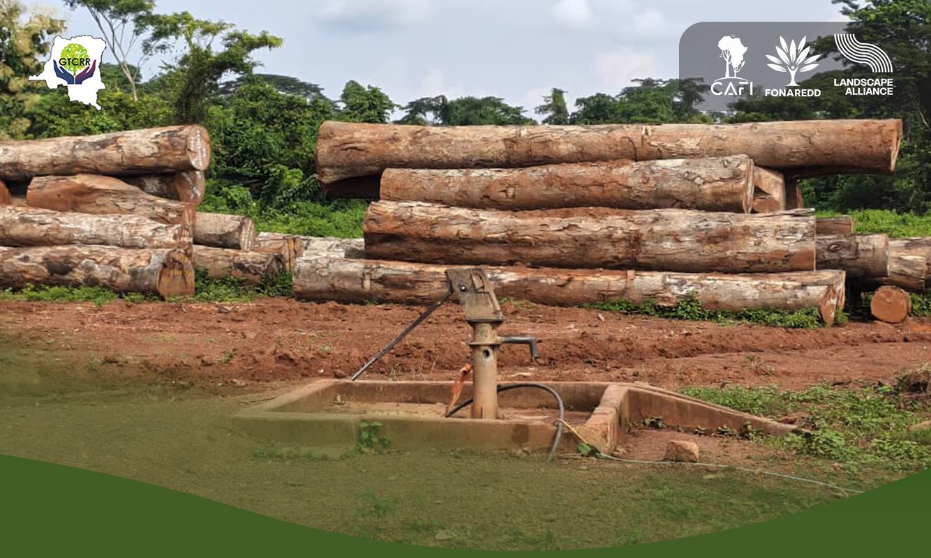 Sud-Ubangi : 500 m³ d&rsquo;Afzelia pachyloba exploités illégalement, le GTCRR Sud-Ubangi tire la sonnette d&rsquo;alarme