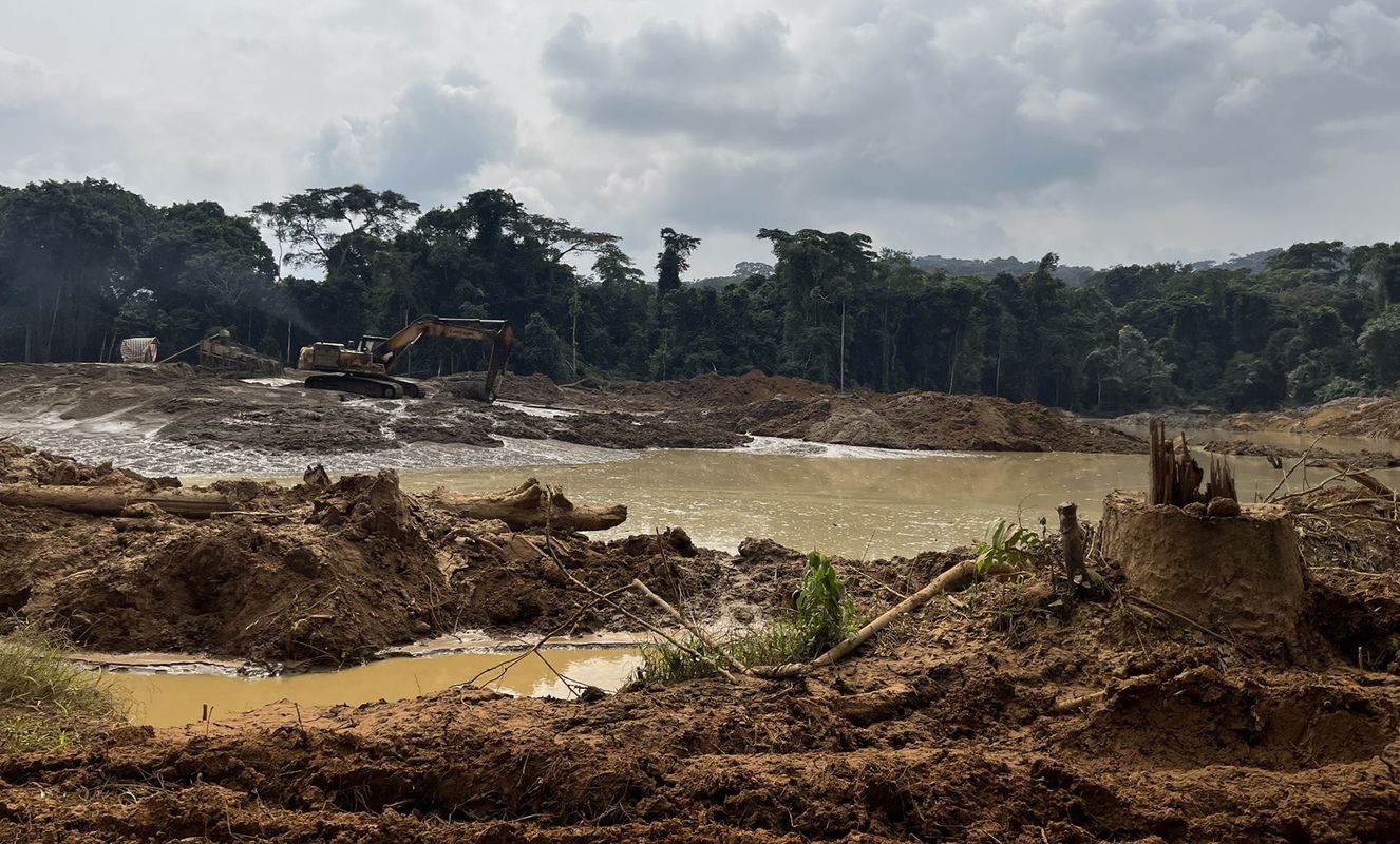 Gestion durable des forêts en zones minières : Le GTCRR formule des propositions clés pour un arrêté interministériel ambitieux