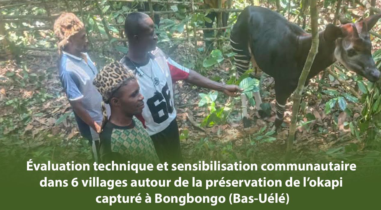 GTCRR : Évaluation technique et sensibilisation communautaire dans 6 villages autour de la préservation de l’okapi capturé à Bongbongo (Bas-Uélé)
